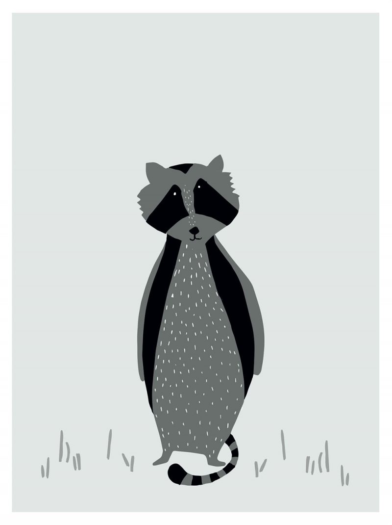 Trixie Baby Plakat Mr. Raccoon - Pan Talerzyk